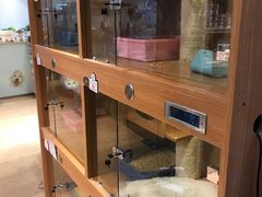 -Pets First伊珊娜洗护·精致美容·家庭式寄养(新会路店)