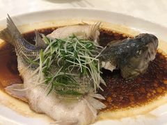-雅和生态渔庄·宜城锅巴饭(龙灵山公园店)