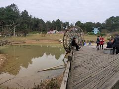 -铁山坪森林公园