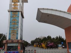 -日照海滨国家森林公园