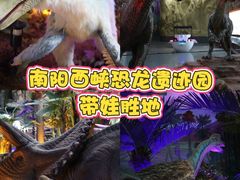 -中国西峡恐龙遗迹园