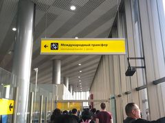 -谢列梅捷沃国际机场