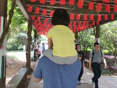 -白马涧龙池景区