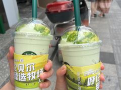 -茉酸奶(春熙路店)