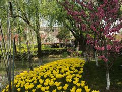 -圩墩遗址公园