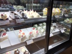 -皇冠幸福里动物奶油生日蛋糕(万达店)