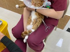-美联众合动物医院·24h京西诊疗中心