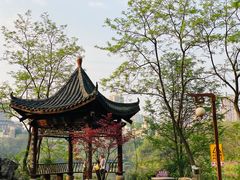 -重庆彩云湖湿地公园