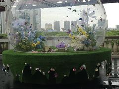 -江南环球港