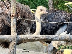 -燕塞湖鸟语林景区