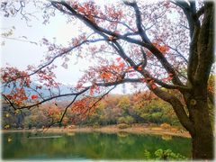 -紫霞湖公园