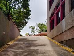 -香港大学