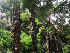 -崂山仰口游览区