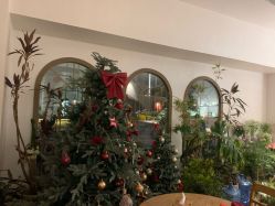 -WAVE SODA摄影工作室