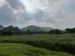 -径山花海