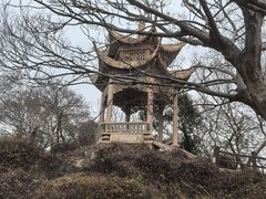 -平湖九龙山旅游度假区