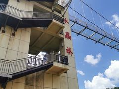 -客天下恐龙水晶玻璃桥