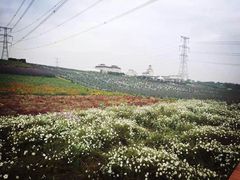 android_upload_pic-紫颐香薰山谷景区