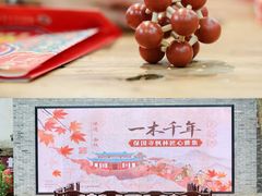 -宁波市保国寺古建筑博物馆