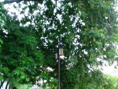 android_upload_pic-高桥古镇