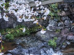 -溪口-滕头旅游景区