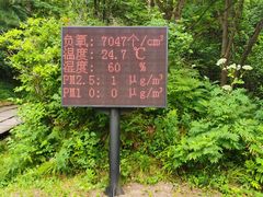 -五营国家森林公园