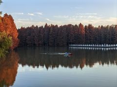 -上海海湾国家森林公园