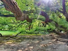 -上海兴国宾馆香樟园西餐厅