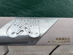 -星光大道