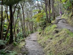 -夏威夷火山国家公园