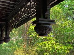 -花溪公园