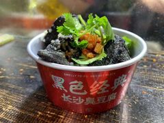 -黑色经典臭豆腐·湖南特产(坡子街特产局店)