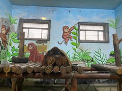 -济南野生动物世界