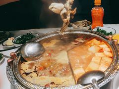 -迷你蛙·重庆自助牛蛙火锅(梦时代店)