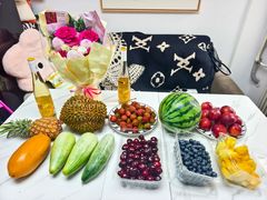 -芍药居北里