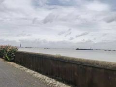 -上海滨江森林公园