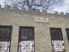 -桃花堤公园