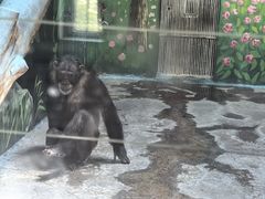 -新疆天山野生动物园