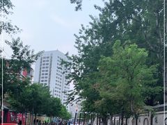 -双榆树公园