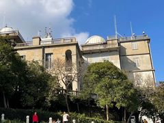 -上海佘山国家森林公园天马山园