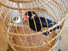 iphone_upload_pic-月亮河温泉度假酒店