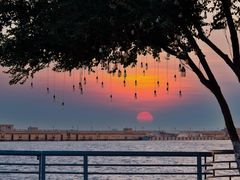 -北戴河转鱼·炒螃蟹酱餐厅