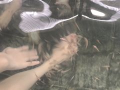 -观唐（国际）度假村温泉