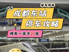 -成都东站-停车场