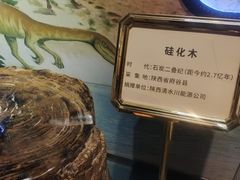 -陕西自然博物馆