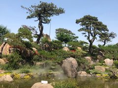 门面-罗红摄影艺术馆