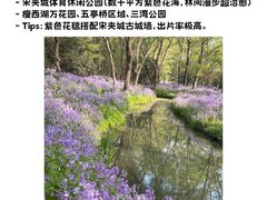 -大潮淮·淮扬菜(何园旗舰店)