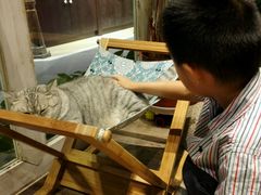-小时光咖啡馆(开森度假森林店)