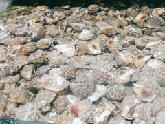 -港畔赶海蒸汽海鲜烧烤自助(仙螺岛店)