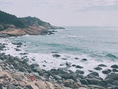 -广东惠东海龟国家级自然保护区